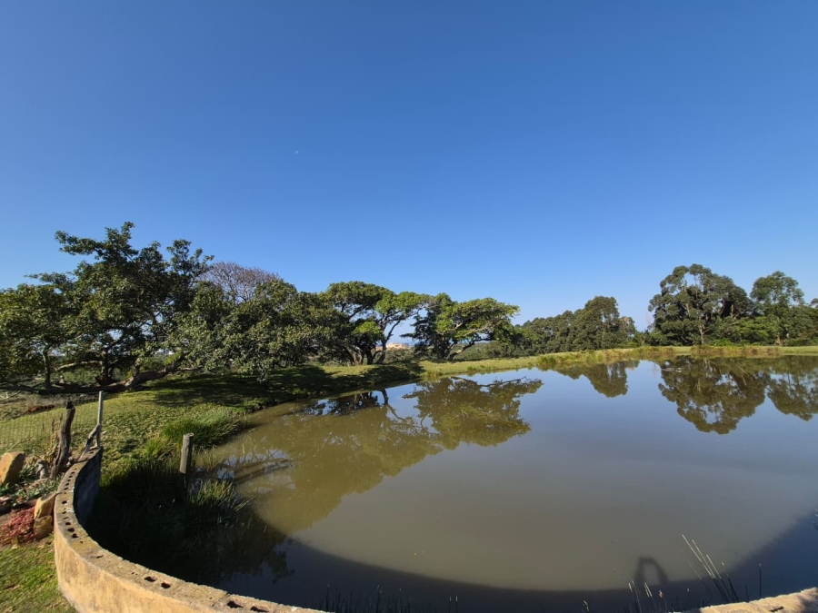 Commercial Property for Sale in Cove Rock Eastern Cape